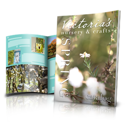 Newsletters